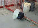 DSC02082
