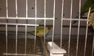 20160219_075714
