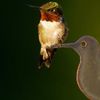 117792_207dd8908289d679a4c26b31e2ff2d45_mdsq