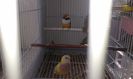 20160220_120747