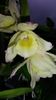 20160220_100410