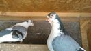 IMG_20160221_103927