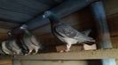 20160108_155942