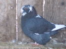 DSCN1354