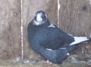 DSCN1353
