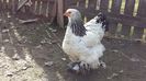 20160214_125820