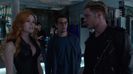 Shadowhunters (24)