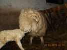Picture 030