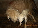 Picture 040