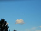 DSCN8820