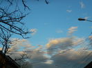 DSCN8830