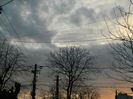 DSCN8854