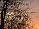 DSCN8858
