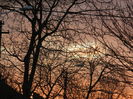 DSCN8859