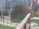 20160223_084333