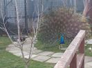 20160223_084331