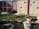 20160223_084320