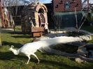 20160223_084205