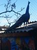 20160223_101413
