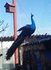 20160223_101356