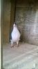 WP_20160112_14_35_44_Pro