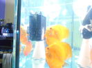 DSCN2201