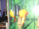DSCN2202