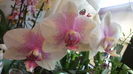 IMG_20151129_091854