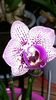 20160119_075850