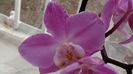 20160119_141136