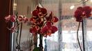 20160205_101050