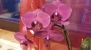 20160208_174055