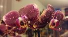 20160208_204051