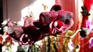 20160209_143003
