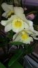 20160224_072426