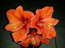20160224_211502