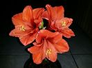 20160224_211427