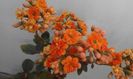 20160225_144348