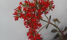 20160225_144845
