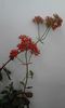 20160225_144931