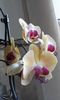20160225_163839