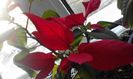 20160225_163912