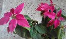 20160225_164301