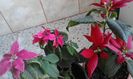 20160225_164728