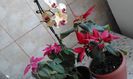 20160225_164911