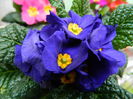 DSCN9213
