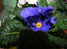 DSCN9218