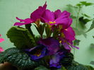 DSCN9220