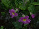 DSCN9361