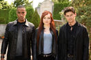 Shadowhunters (26)
